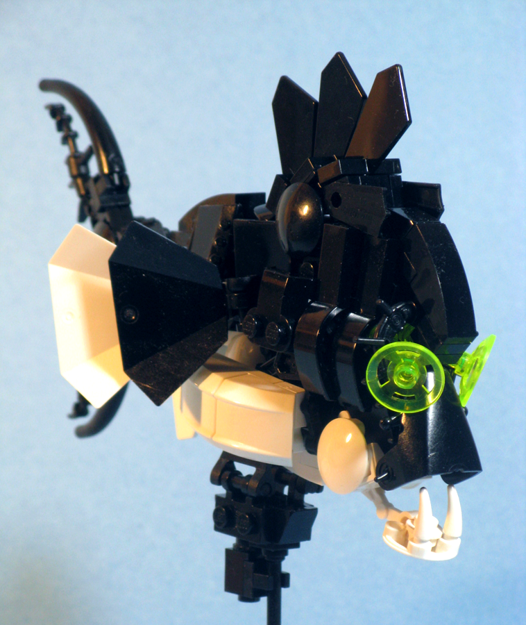 img_1587_copy.png