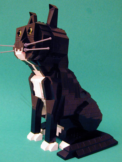 05.jpg