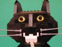 Ringo-the-Cat