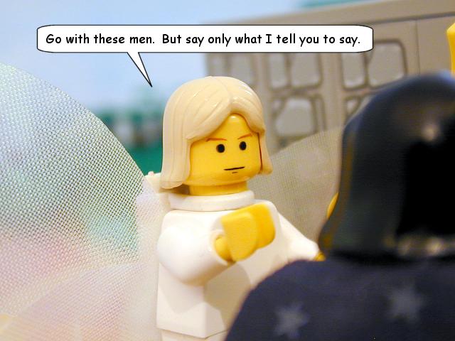 nm22_35a.jpg