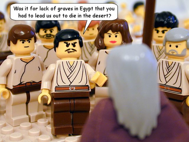 ex14_11.jpg