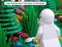 gn03_10.jpg