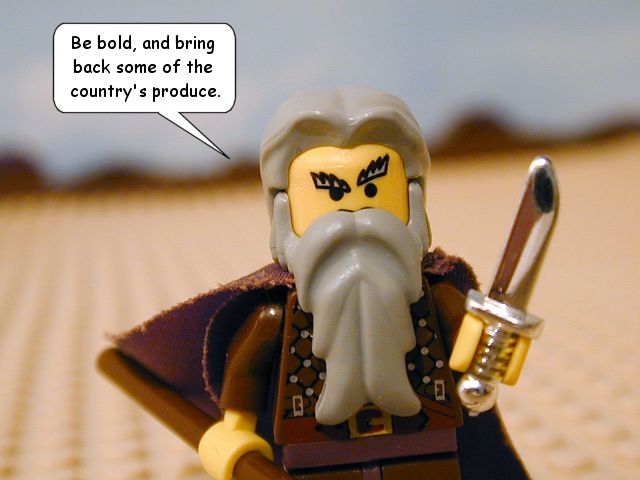 nm13_20.jpg