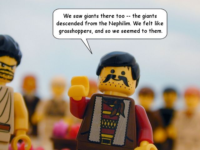 nm13_33.jpg