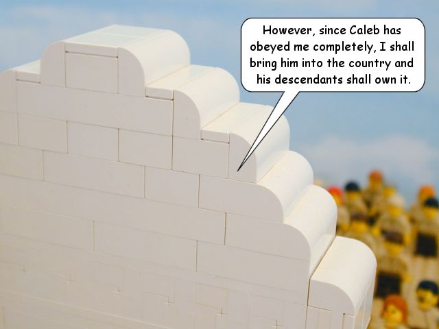nm14_24.jpg