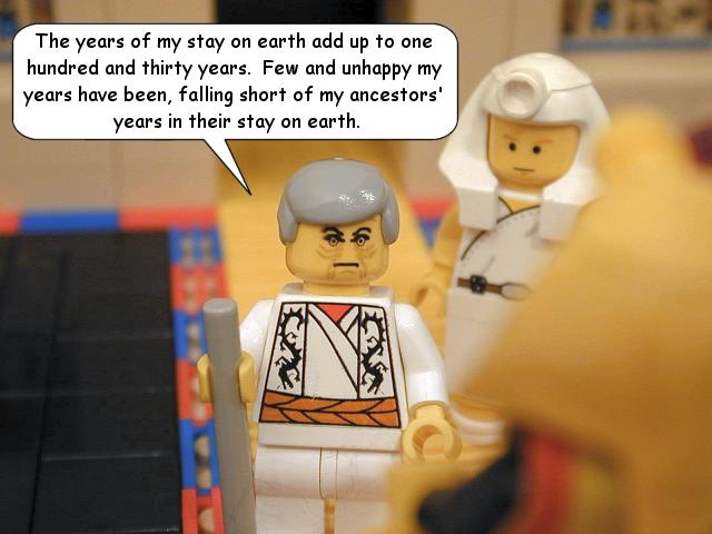 gn47_09.jpg