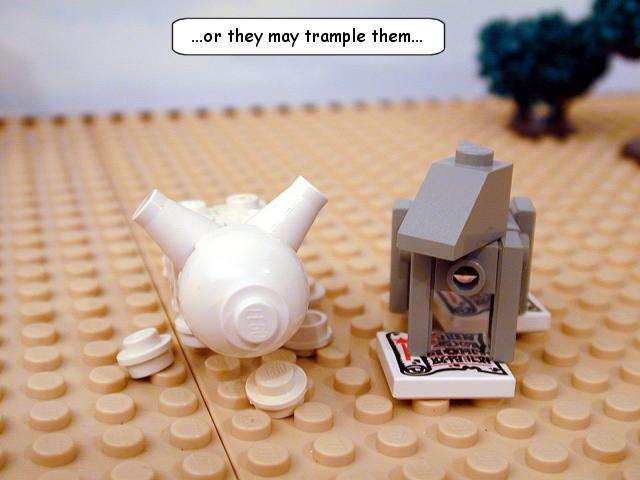 mt07_06c.jpg