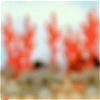 thumbnail.jpg