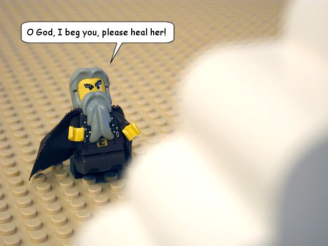 nm12_13.jpg