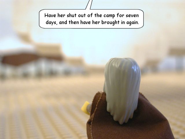 nm12_14.jpg
