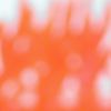 thumbnail.jpg
