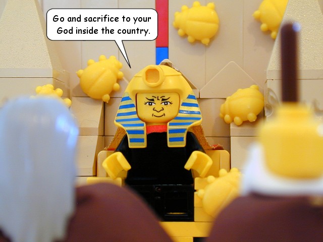 ex08_25.jpg