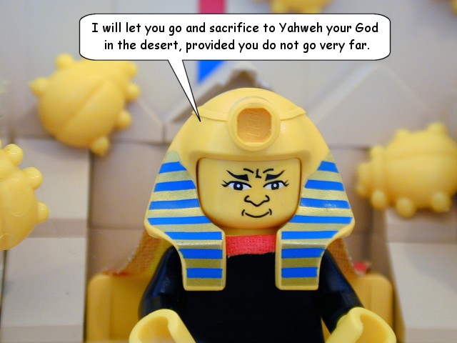 ex08_28.jpg