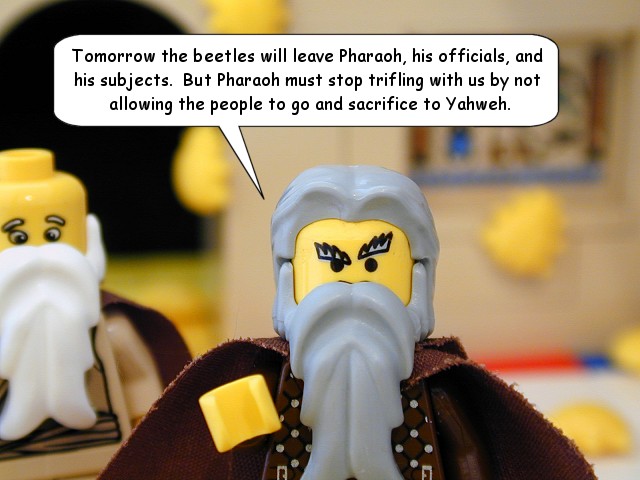 ex08_29.jpg