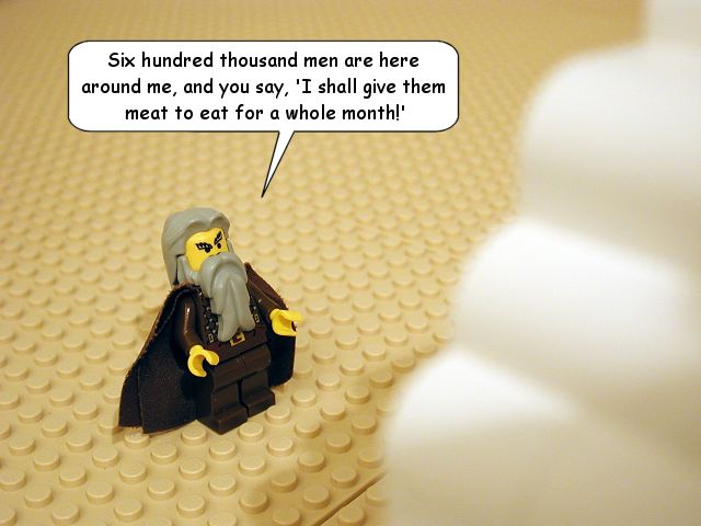 nm11_21.jpg
