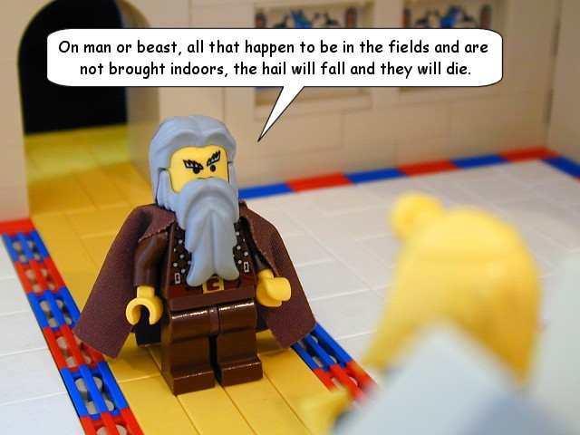 ex09_19b.jpg