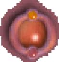 icon2.gif