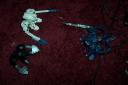 chibi_metru_015.jpg