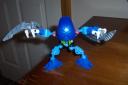 100_2428.jpg