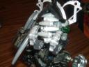Makuta