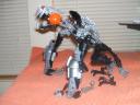 ryans_pics012.jpg