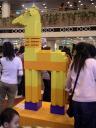 pict0010.jpg