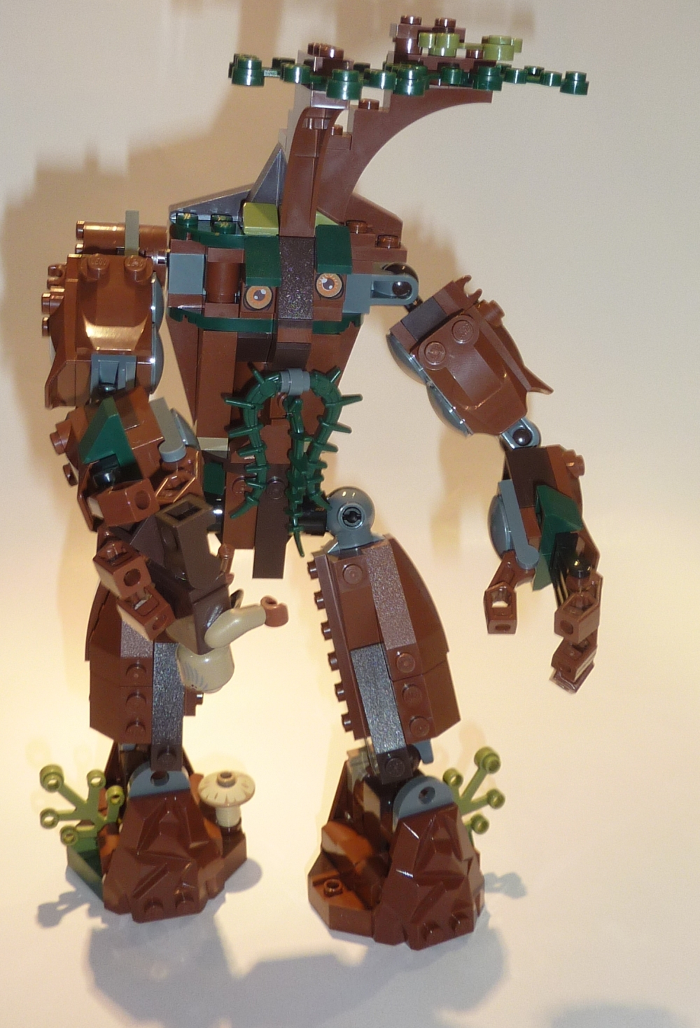 10237_orthanc12.jpg