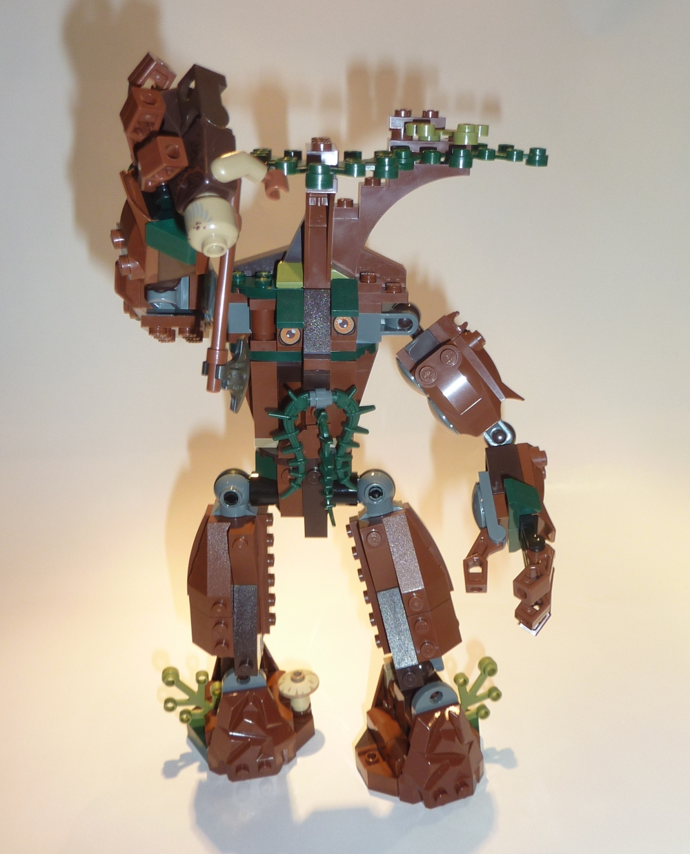 10237_orthanc13.jpg