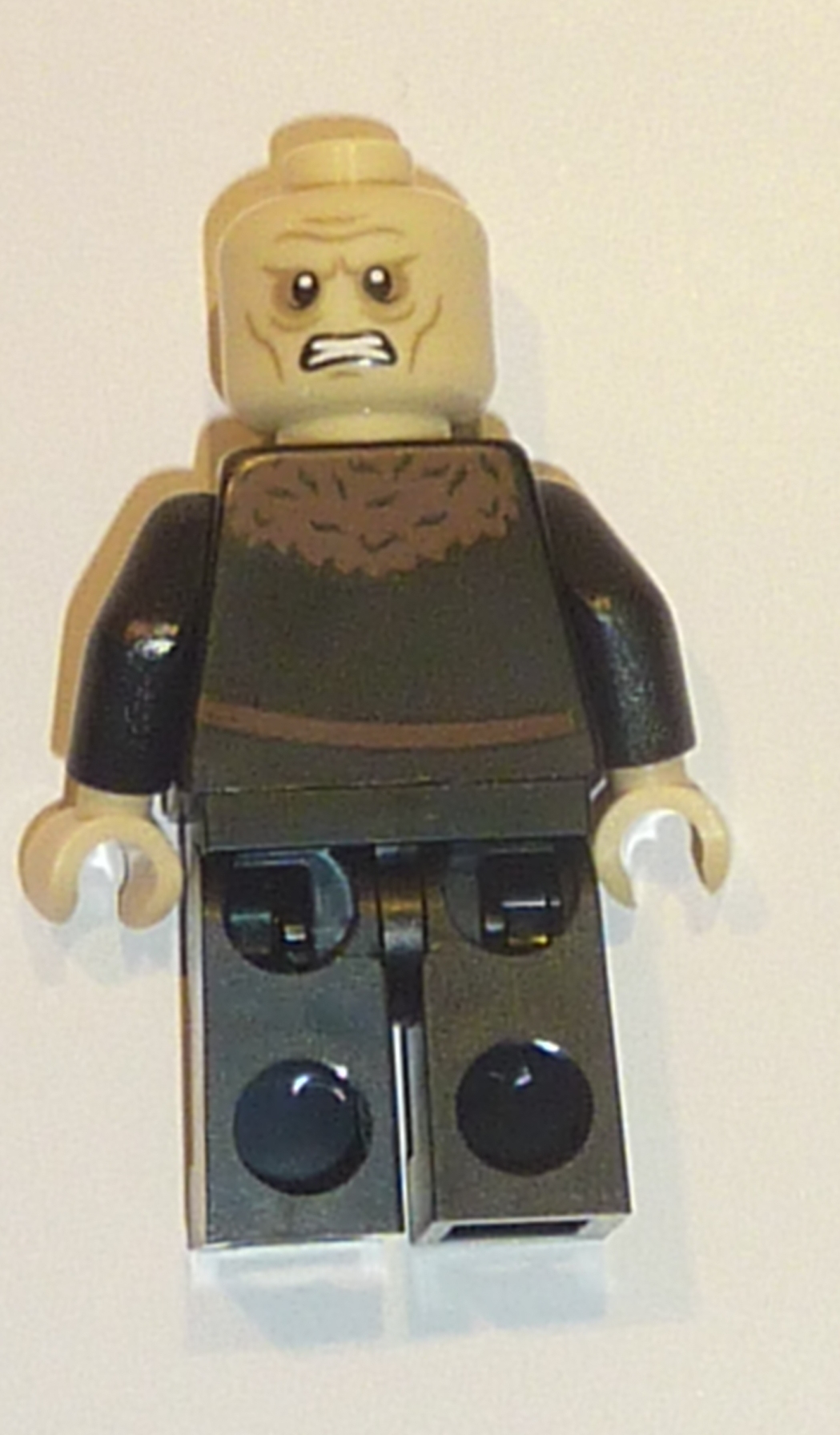 10237_orthancfig02.jpg
