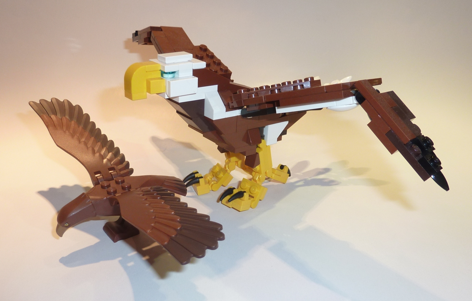 10237_orthancfig16.jpg