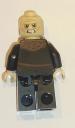 10237_orthancfig02.jpg