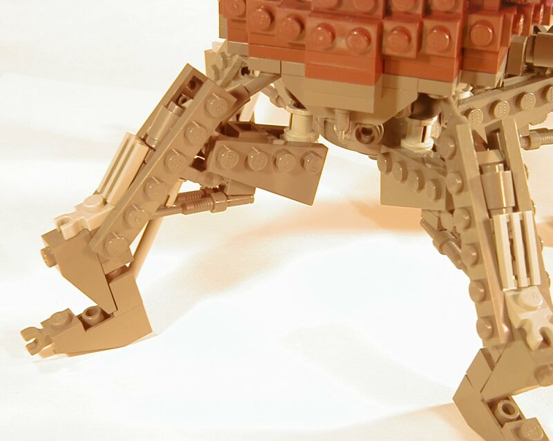 dss04.jpg