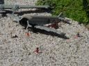dsc00109.jpg