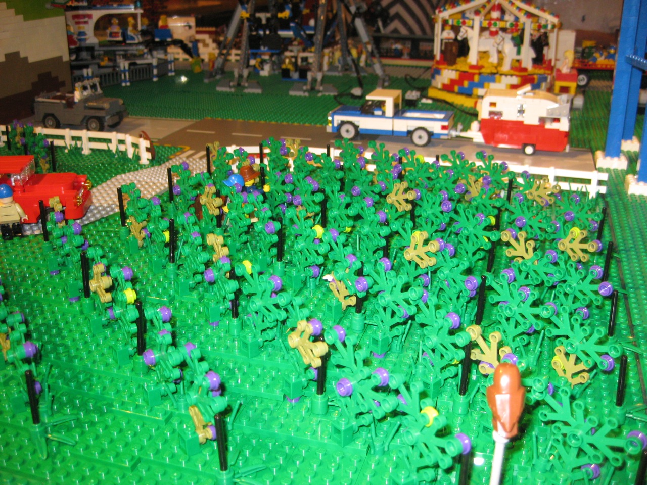 img_0419.jpg