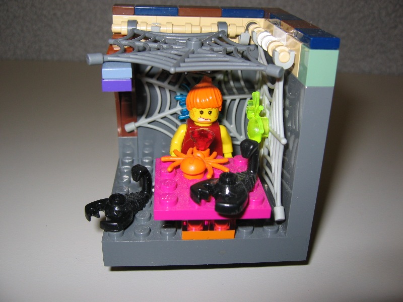 vig0020.jpg
