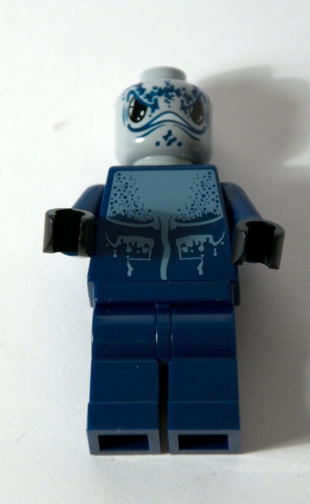 8073_012.jpg