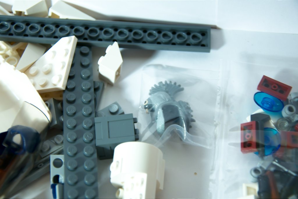8085_016.jpg