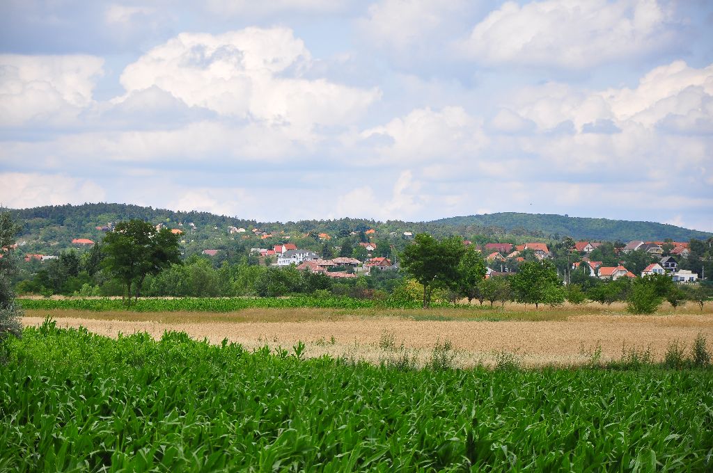keszthely029.jpg