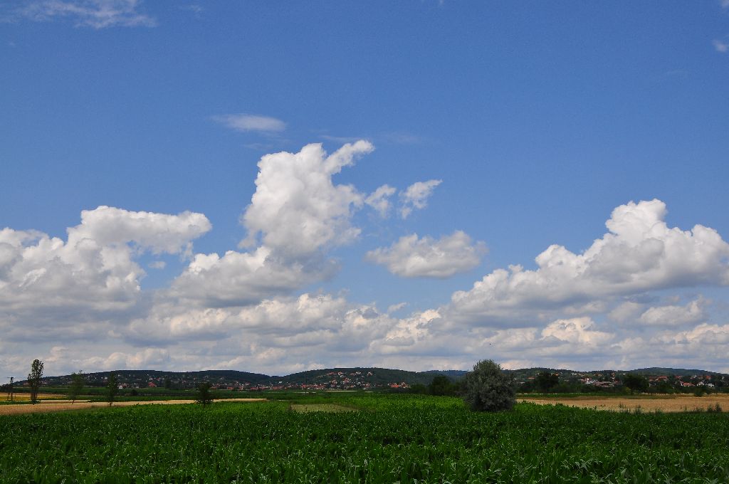 keszthely030.jpg