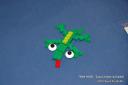 7804-frog