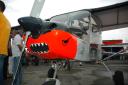 airshow2007-048.jpg