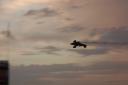 airshow2007-088.jpg