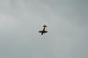 airshow2007-093.jpg