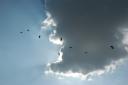 airshow2007-135.jpg