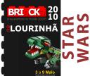 BRInCKa2010-SW