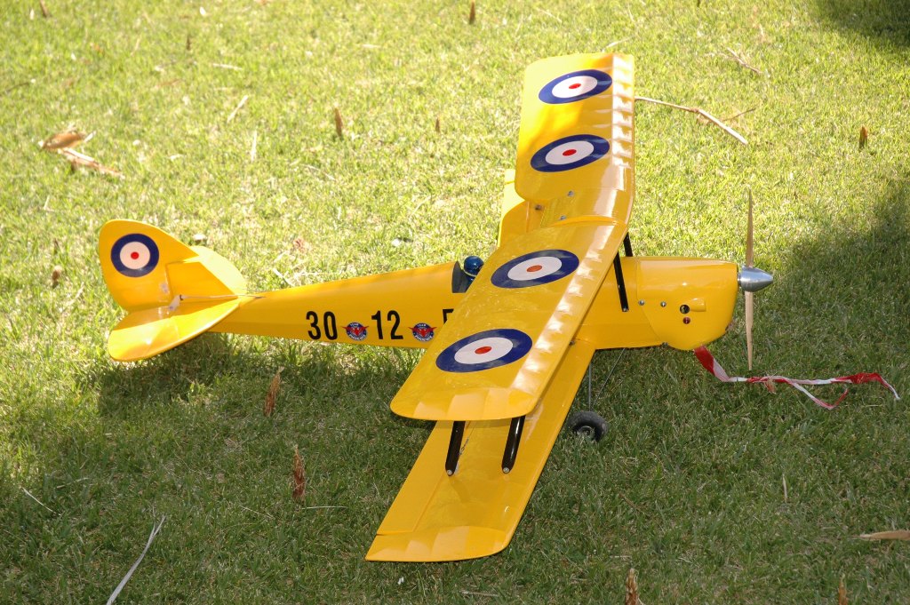 brincka2010_other_11.jpg