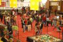 brincka2010_event_07.jpg