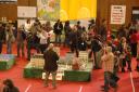 brincka2010_event_08.jpg