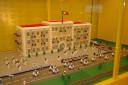 eci_xmas_2010_14.jpg
