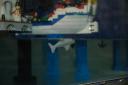 tomarlego2010_052.jpg